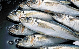 Πρωτότυπη… εκδίκηση