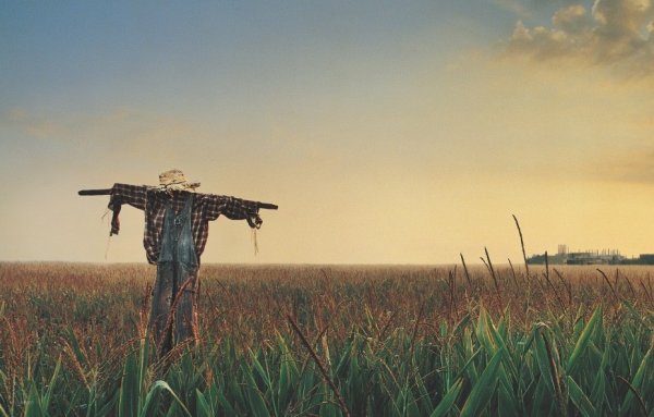 Σκότωνε πουλιά, έφτιαχνε σκιάχτρα