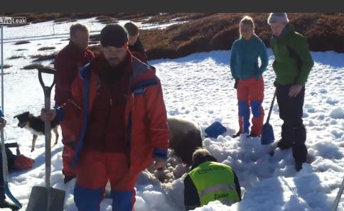 Ζωντανά 19 ημέρες μετά