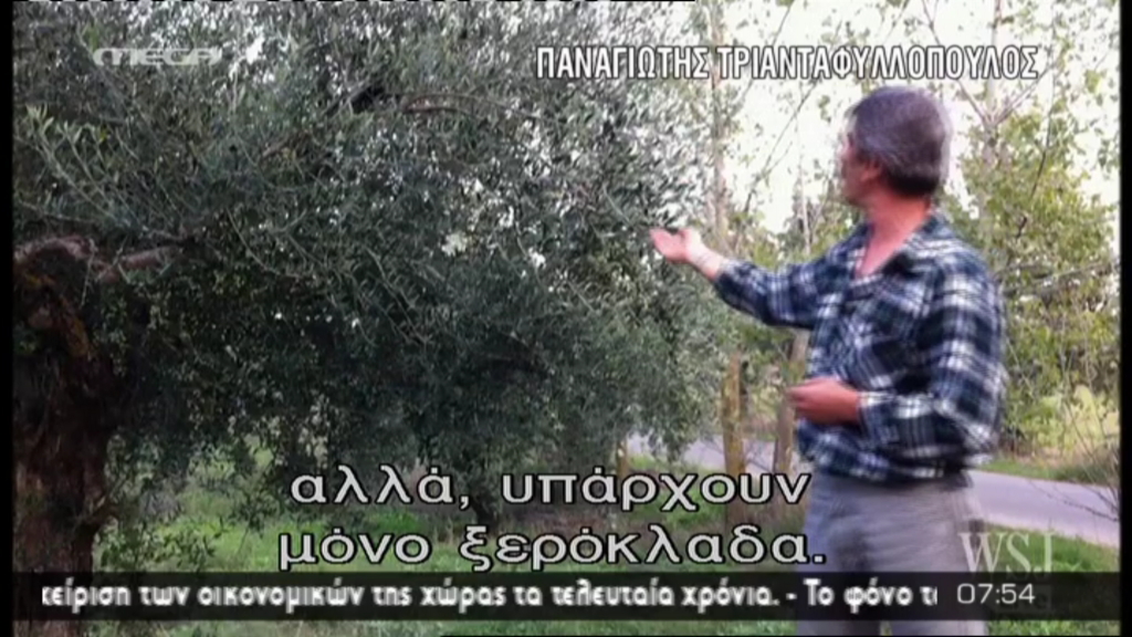 Πίσω στο χωριό στα 54