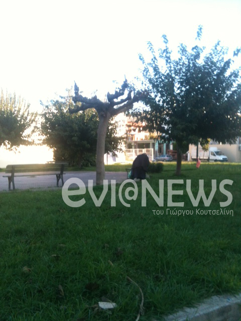 Ψάχνει για φαγητό