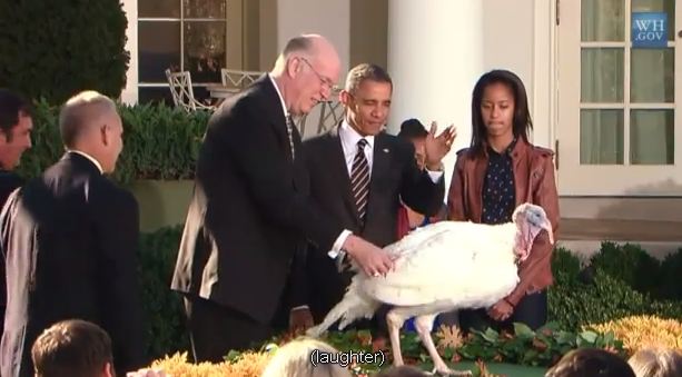 Οι Obama “σώζουν” τις γαλοπούλες