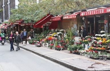 “Μαράθηκαν” τα… ανθοπωλεία