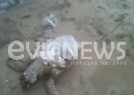 Ένας παράξενος επισκέπτης