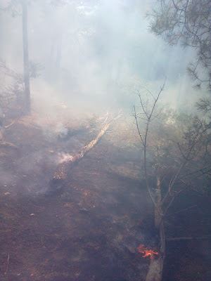 360.000 € στην πυρόπληκτη Βιάννο