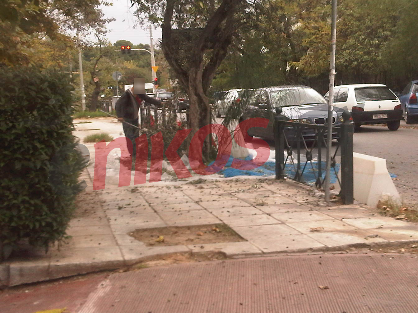 Μαζεύει ελιές για να ζήσει