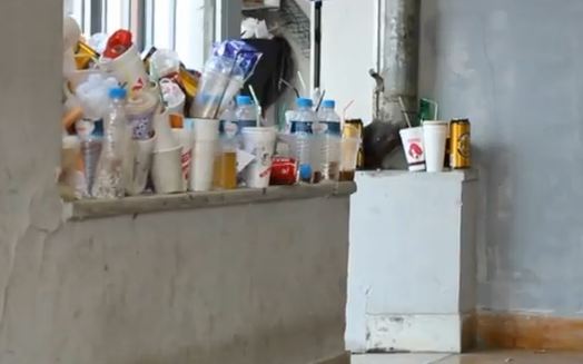 Ποντίκια στο ΑΠΘ