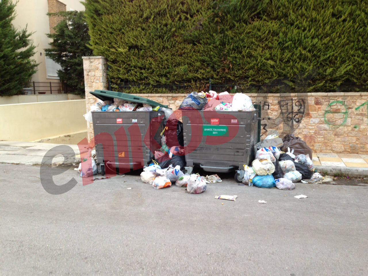 Σκουπιδότοπος ο Γέρακας