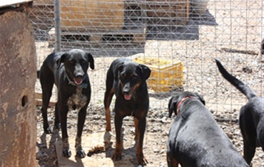 Κατέστρεψαν και το «διαφήμισαν»