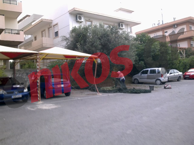 Βγάζουν το λάδι της Εφορίας