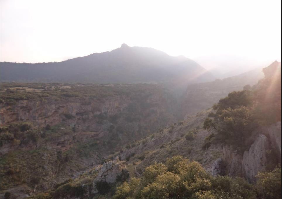 “Καλημέρα από την Τιθορέα”