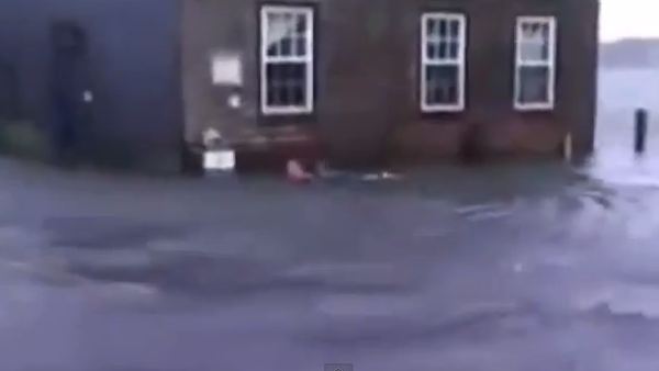 Ο…καρχαρίας του τυφώνα Σάντυ