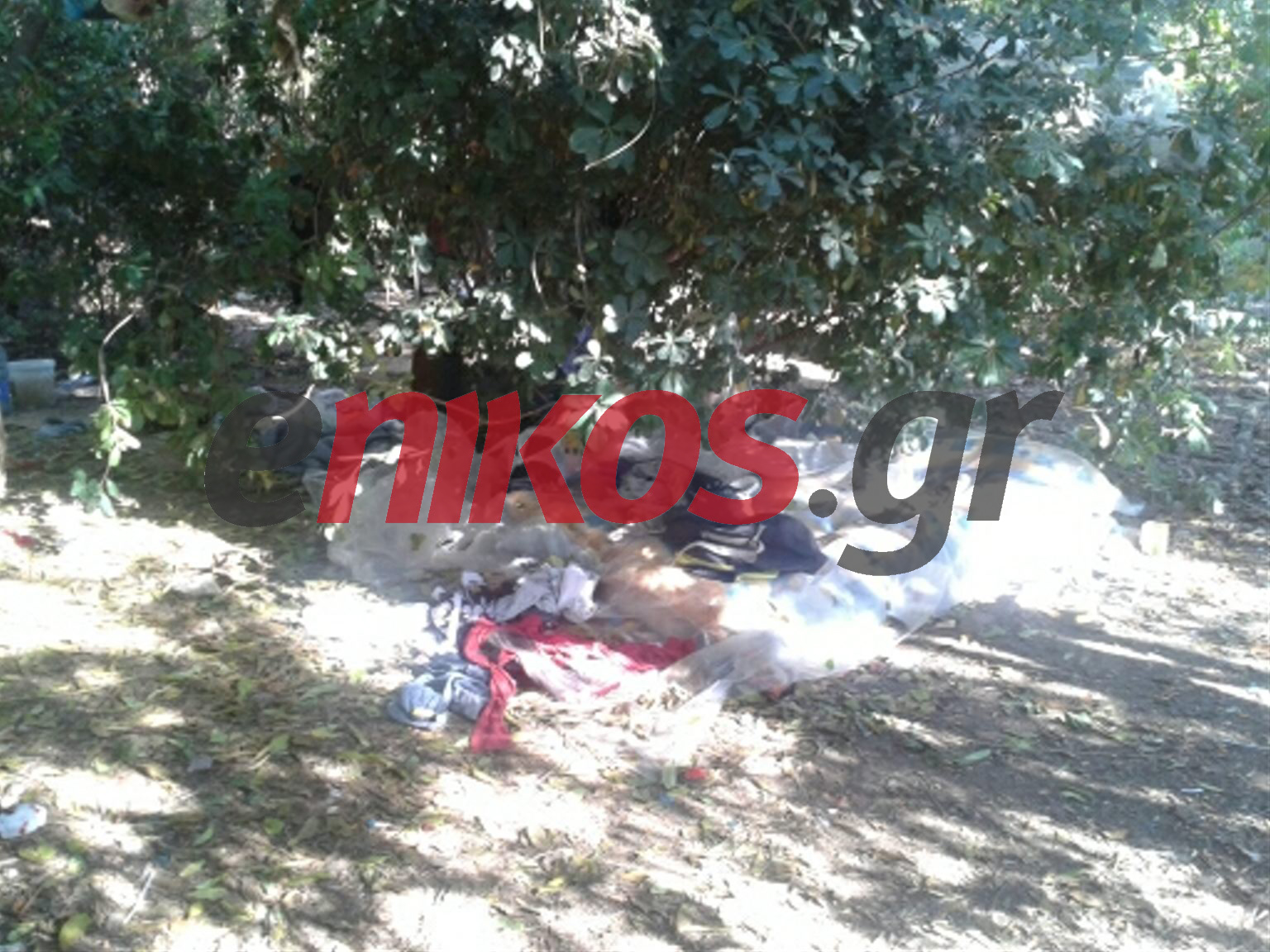 ΦΩΤΟ-Σκουπιδότοπος η Ακαδημία Πλάτωνος