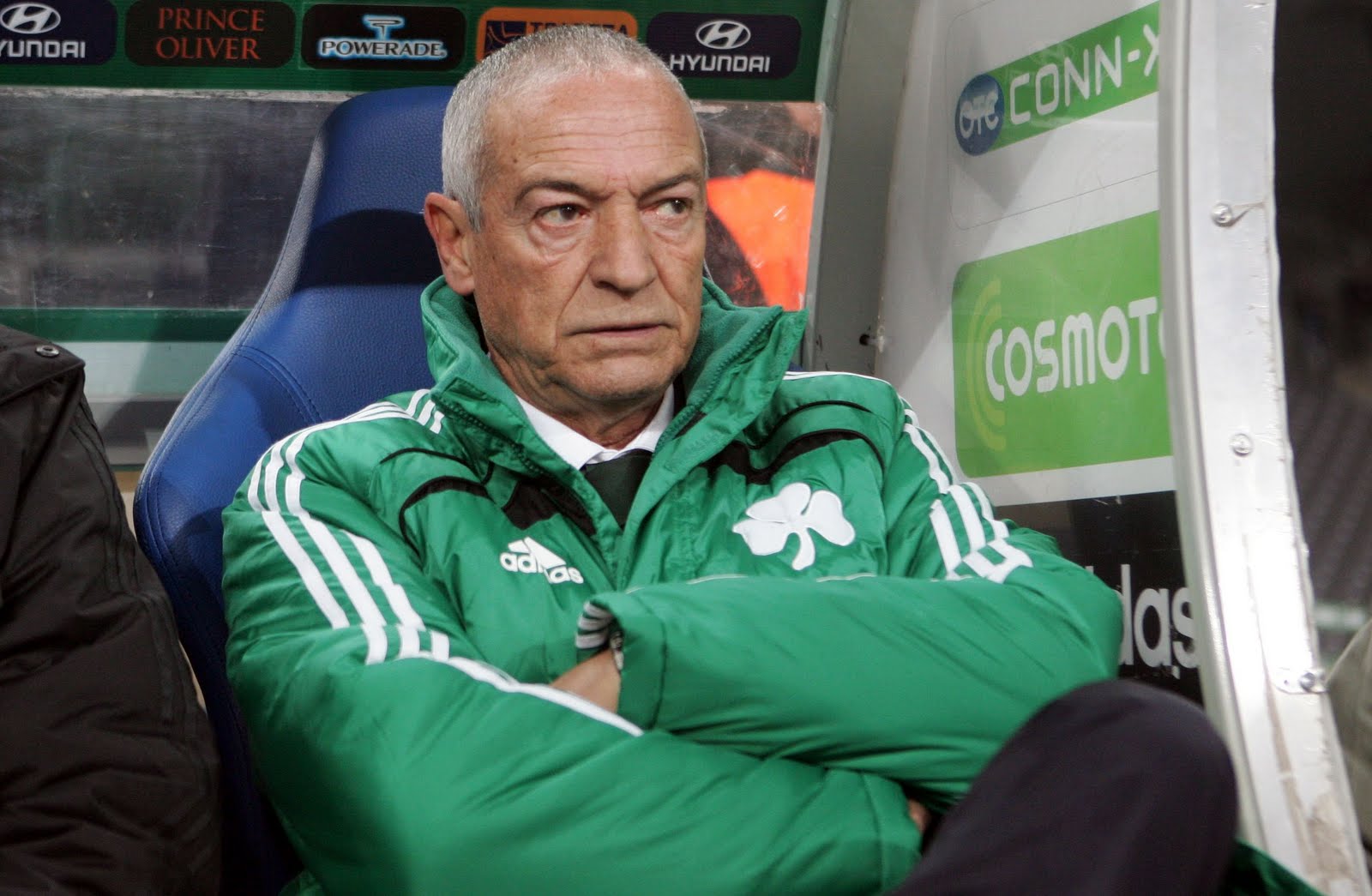 Βασικοί Λαγός και Φορναρόλι