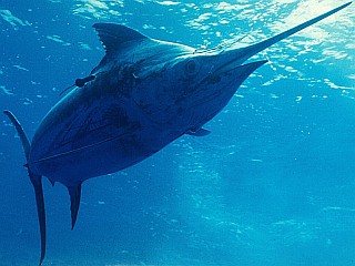 Αυτά είναι τα καλά μέτρα