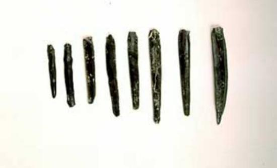 Φονικά όπλα 71.000 ετών