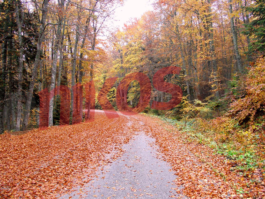 Οι αναγνώστες μας στον Όλυμπο