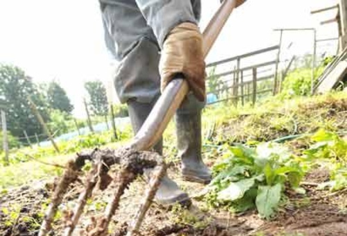 Σκάνδαλο 3.500 “κηπουρών”