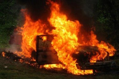 Εντόσθια ζώων στην κλούβα