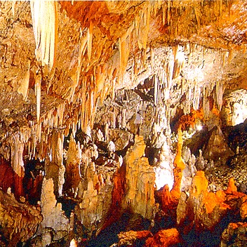 Τον δολοφόνησε και αυτοκτόνησε