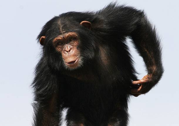 Η κρίση δικαιώνει τον Δαρβίνο