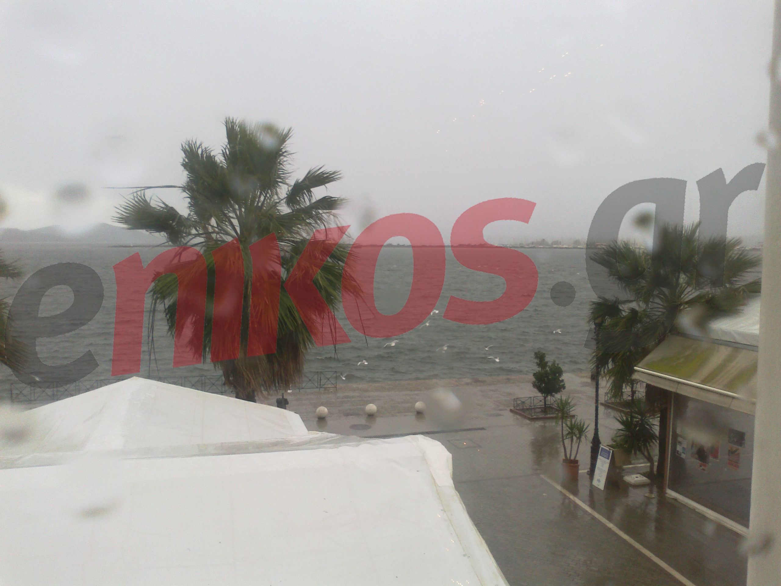 Οι αναγνώστες μας στην Πρέβεζα