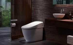 Η high-tech… τουαλέτα