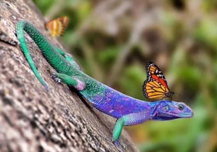 Ο υπέροχος πλανήτης Γη…