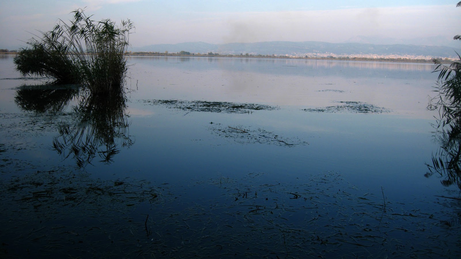 Πτώμα σε λίμνη