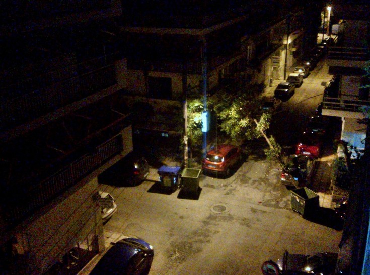 Οι άνεμοι ξερίζωσαν δέντρο