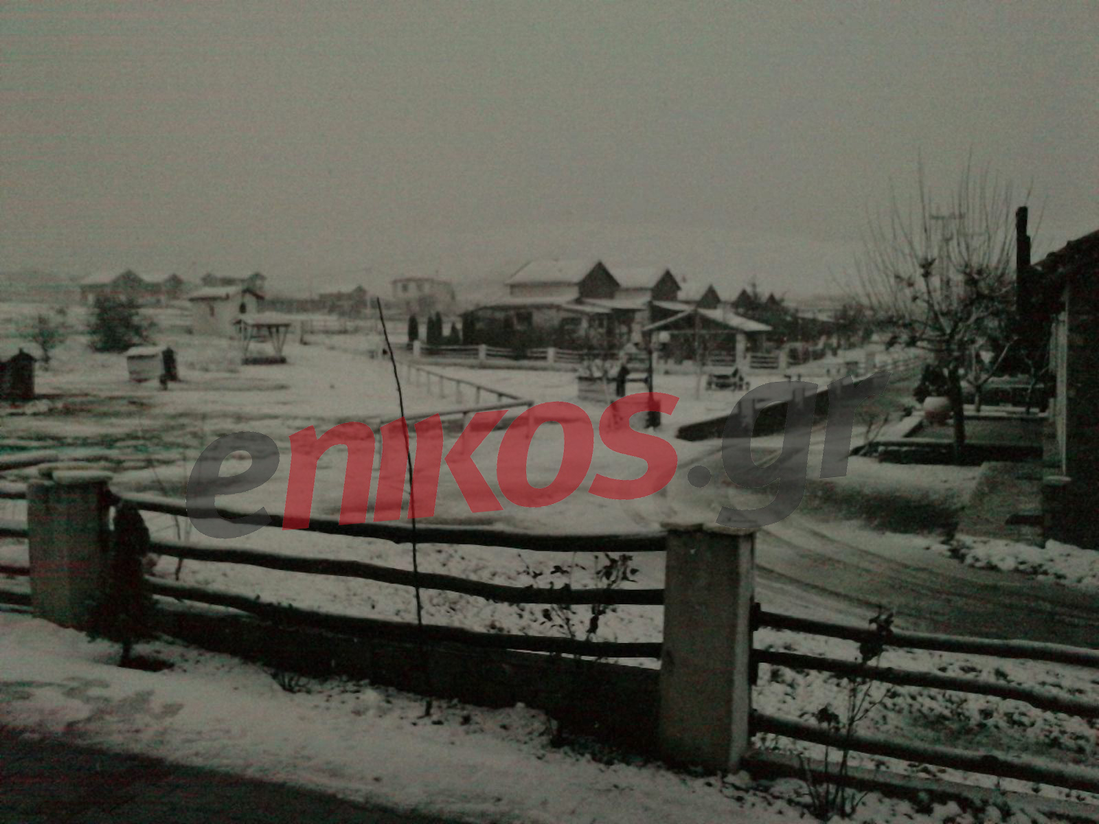 Φωτό-Χιόνια στον Παρνασσό