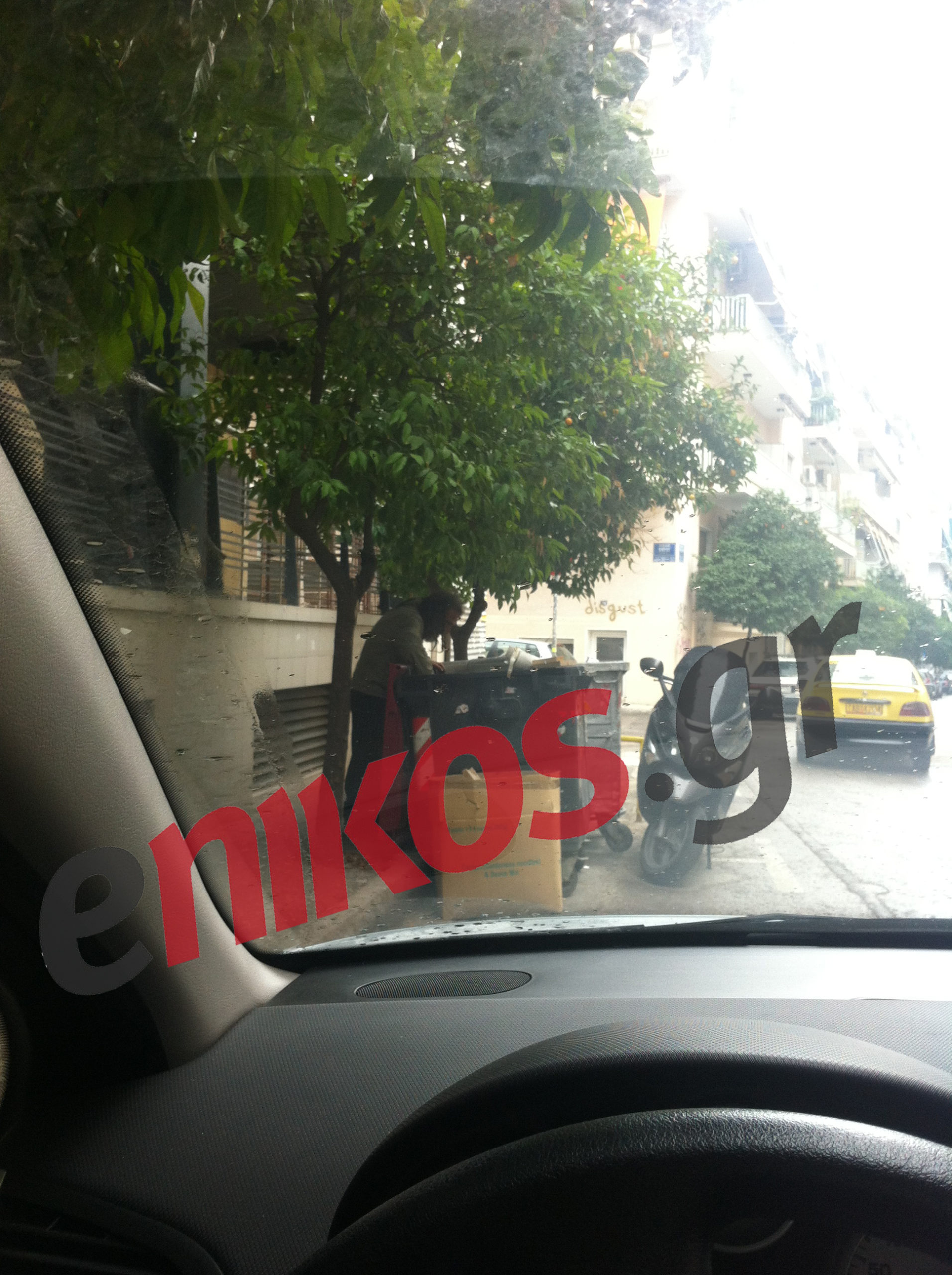 Μέσα στη βροχή ψάχνει για τροφή