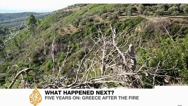 ΒΙΝΤΕΟ-Το Al Jazeera στην Ζαχάρω