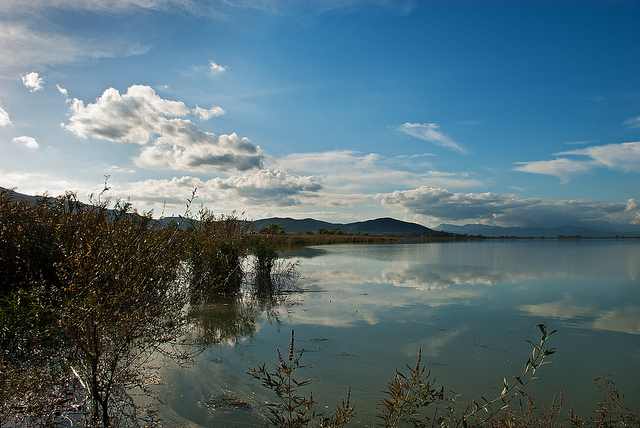 Μακάβριο εύρημα σε λίμνη