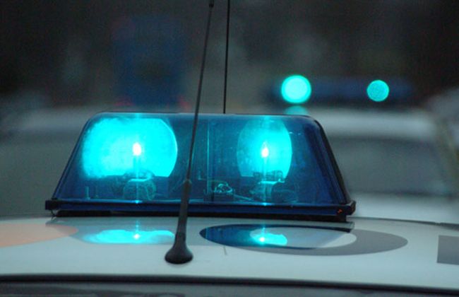 Δεν πήγαν για τις ζωοτροφές