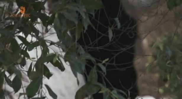 Βίντεο: Γνωρίστε την Τιθορέα