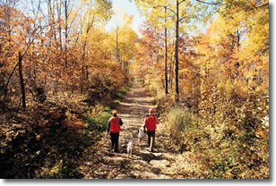 Τραγωδία στο κυνήγι