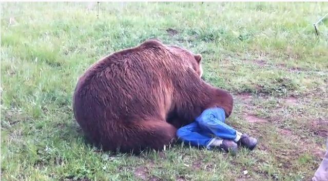 Παιχνίδια με μία… αρκούδα Γκρίζλυ