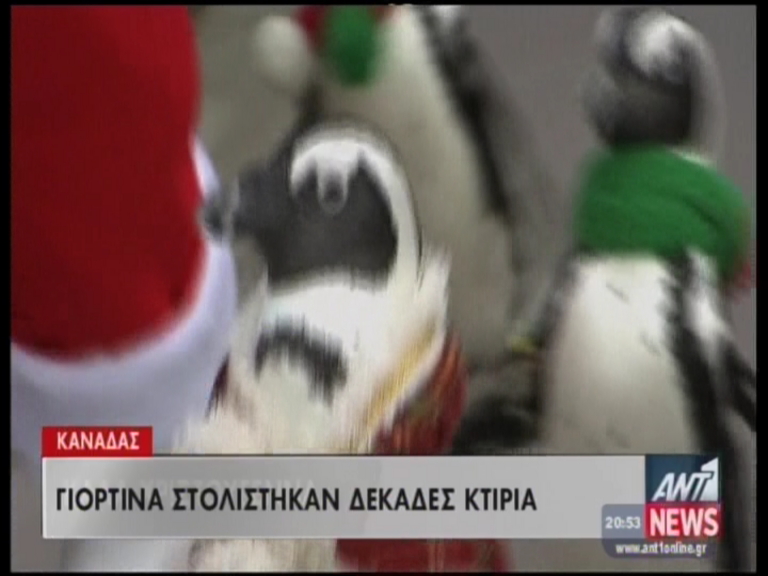 Στο κλίμα των Χριστουγέννων