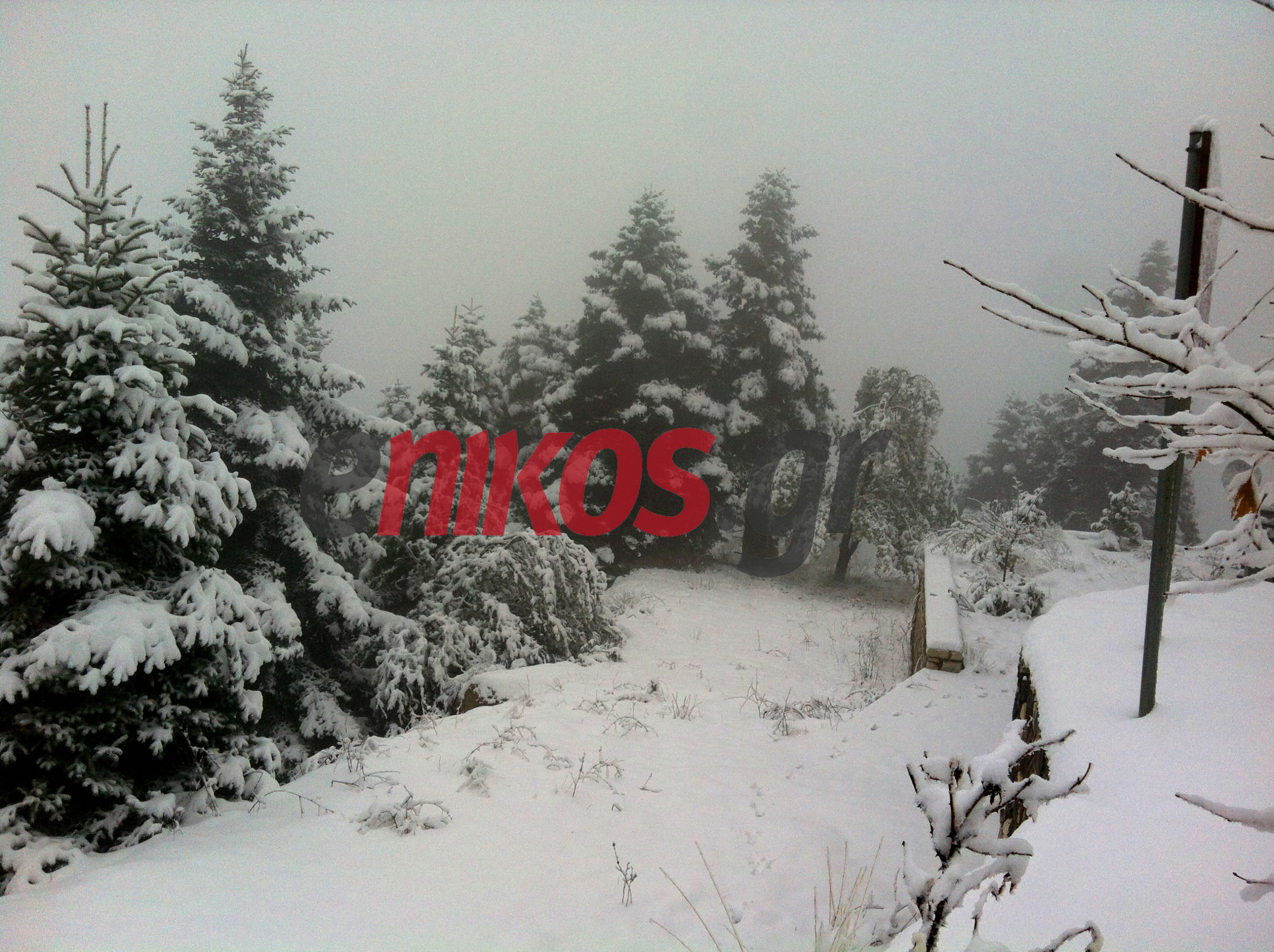 Μια ονειρεμένη εικόνα