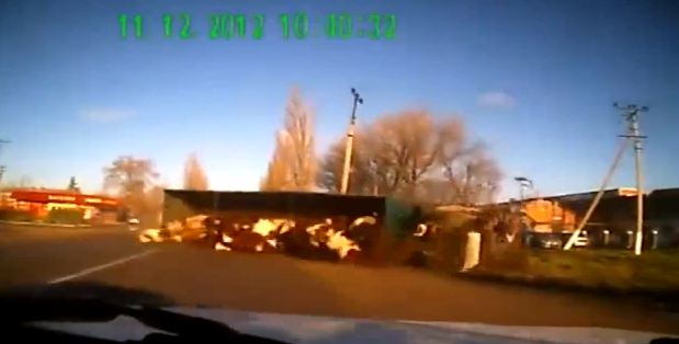 Βίντεο-Γέμισε ο δρόμος …αγελάδες!