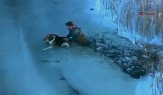 Εντυπωσιακή διάσωση σκύλου