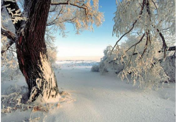 Βροχές και χιόνια σε όλη την χώρα