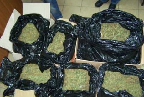 Κατασχέθηκαν 730 κιλά κάνναβης