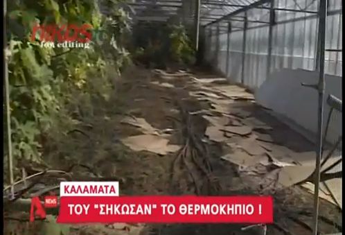 ΒΙΝΤΕΟ-“Σήκωσαν” ολόκληρο θερμοκήπιο