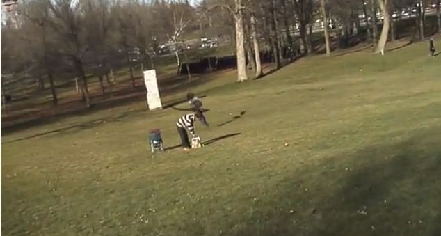 ΒΙΝΤΕΟ: Χρυσαετός άρπαξε παιδάκι