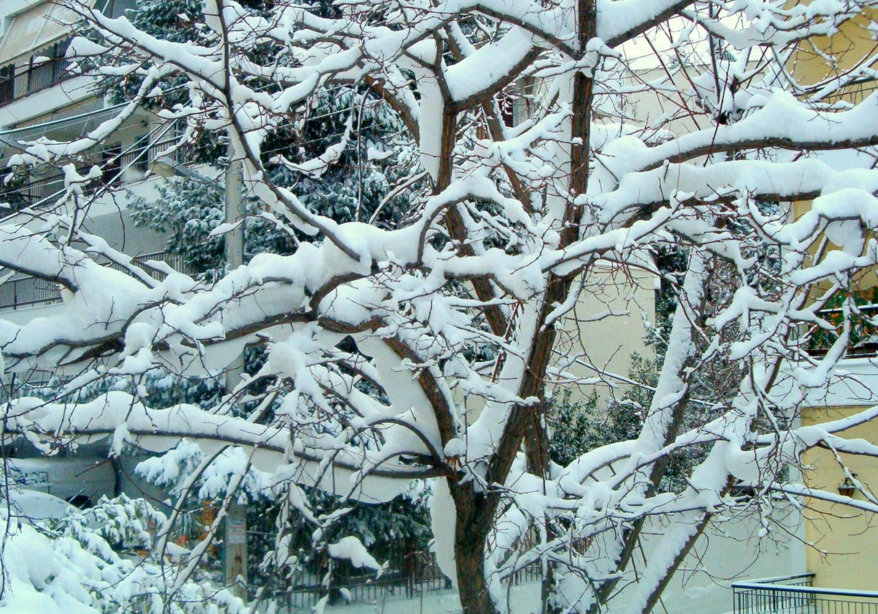 Το «στρώνει» στην oρεινή Κορινθία