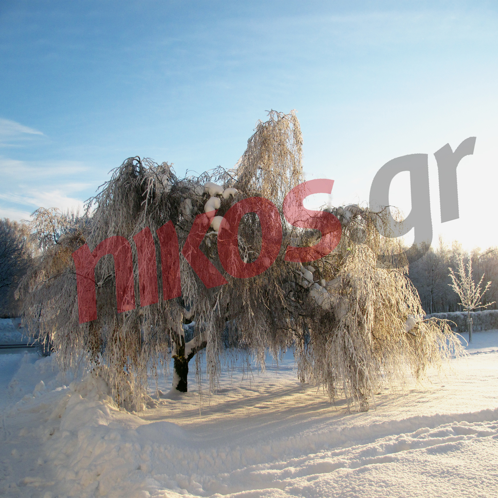 Ο αναγνώστης στη Σουηδία