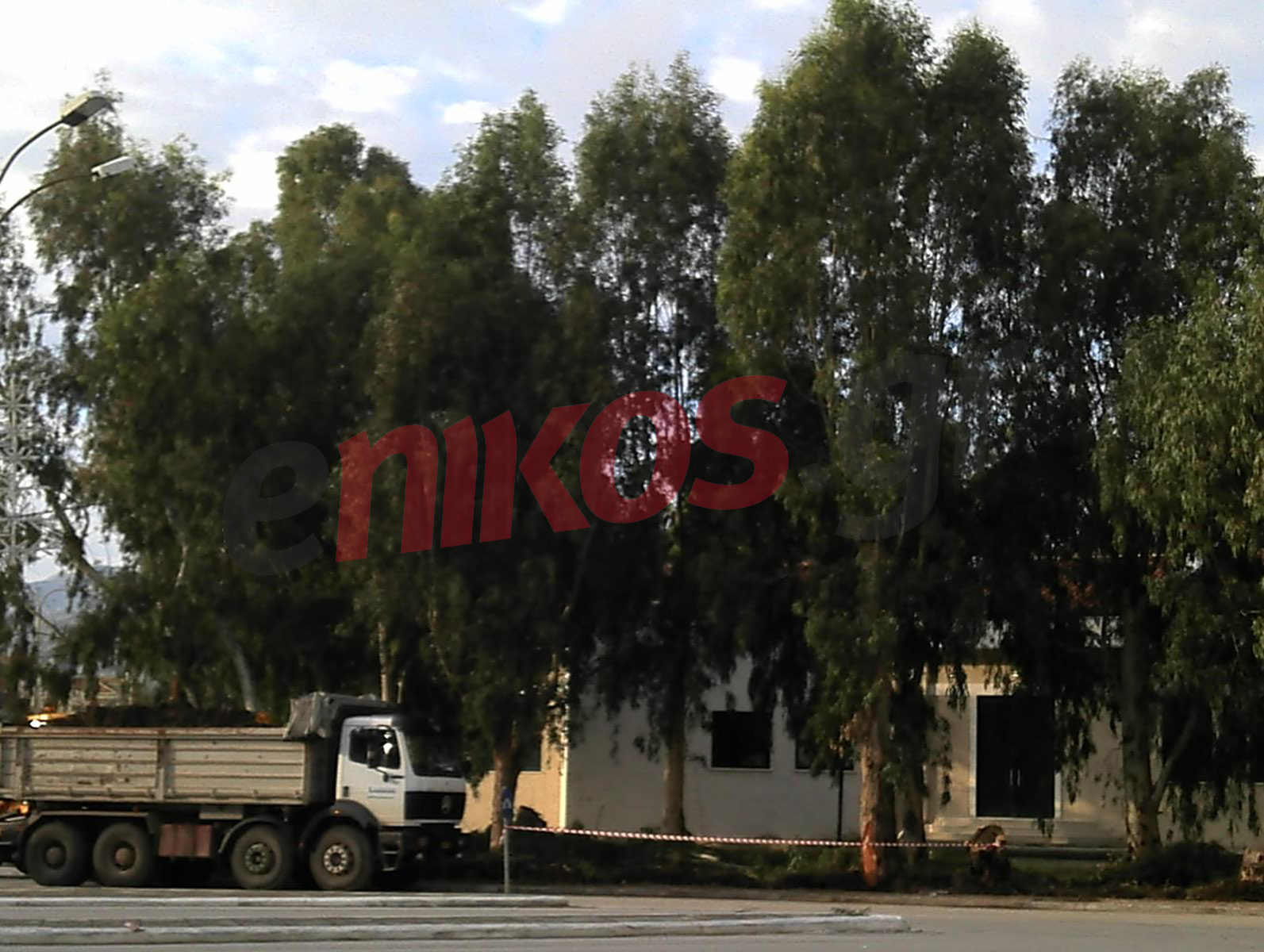 Kόβουν δέντρα ανεξέλεγκτα;