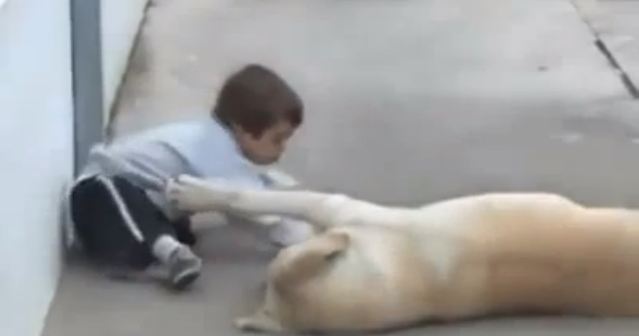 ΒΙΝΤΕΟ-Η αποθέωση της αγάπης